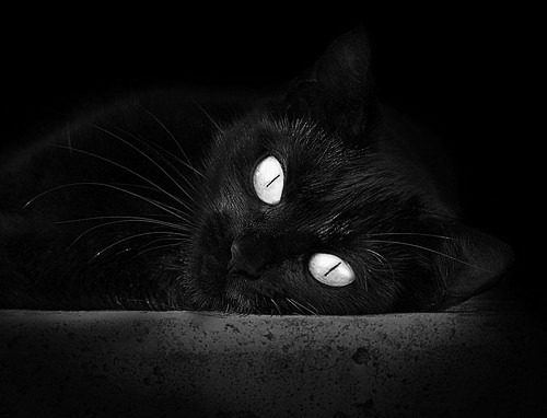 暮年重剑破宿敌！皮克一锤定音，贝蒂斯生死战绝境逢生