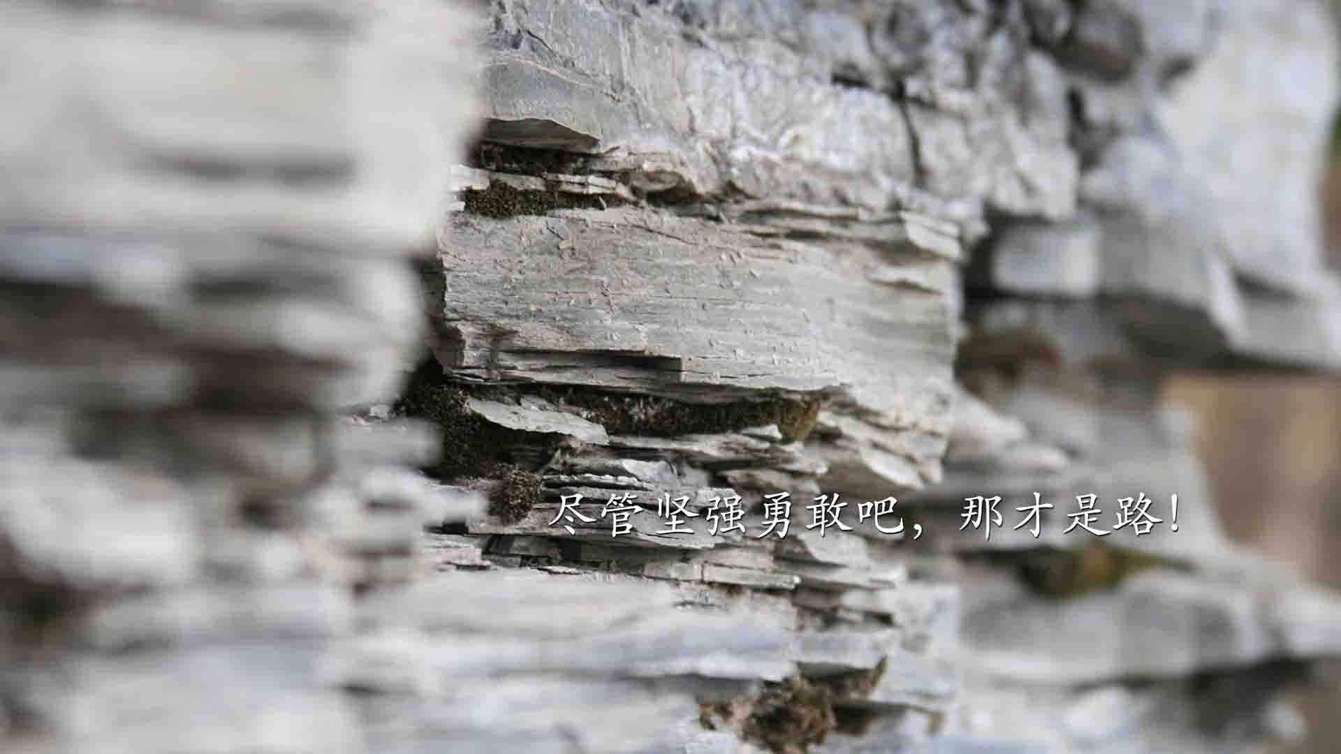 唯一性,当鹈鹕击溃广东,英格拉姆接管世界杯—两个平行宇宙的篮球交响