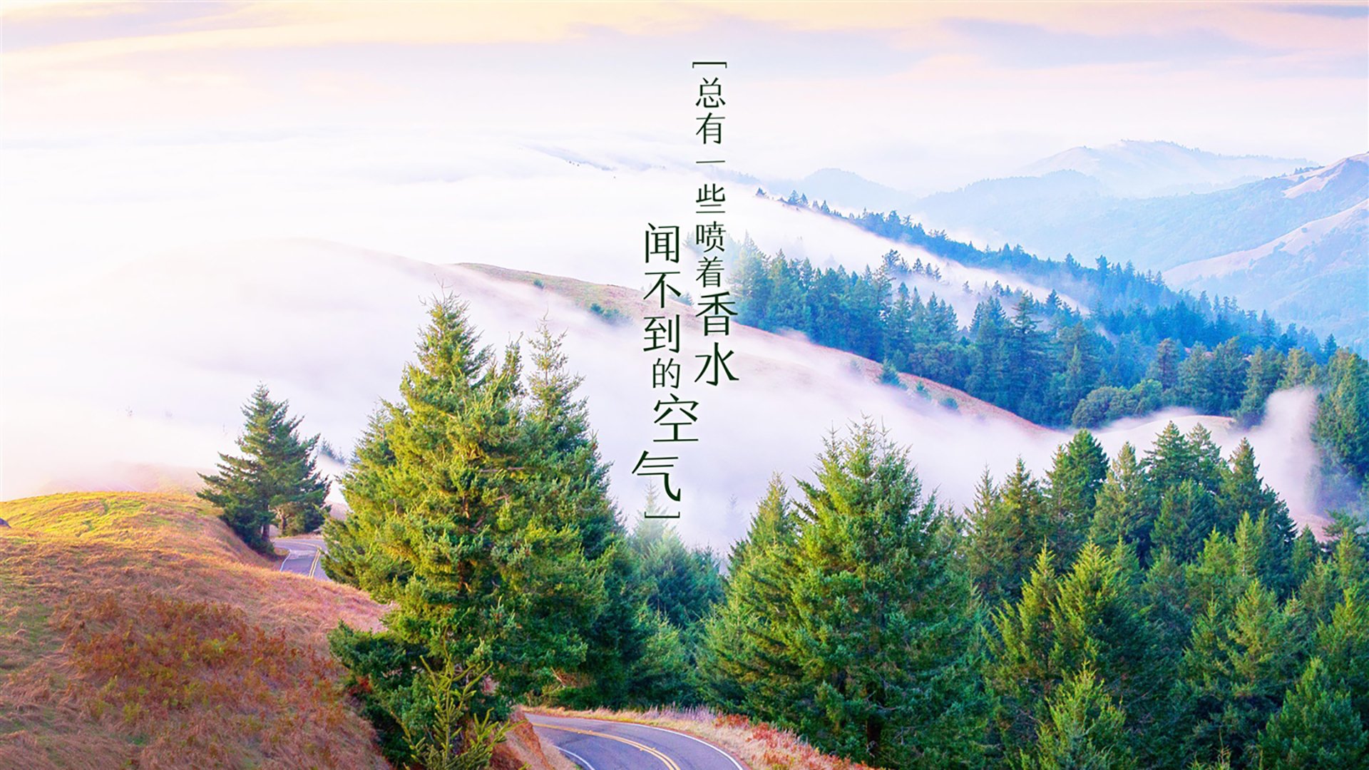 孤注一掷的火焰,迪亚斯与那场改写足球历史的唯一争冠战